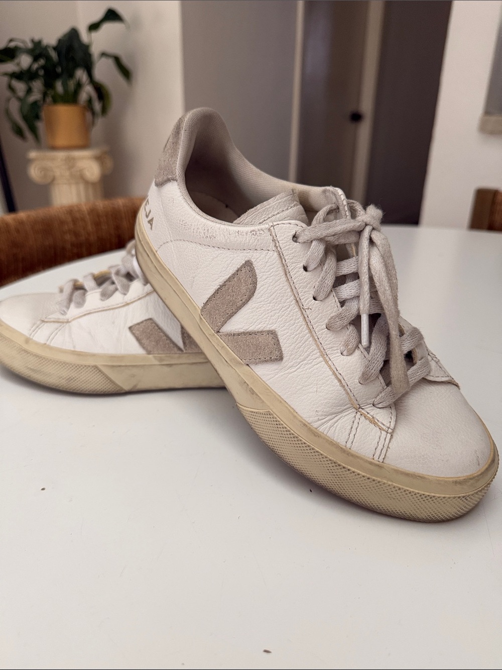 Veja White Leather Sneakers! Size 5!
